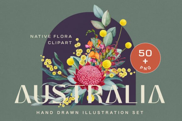 Download Australia Flora Watercolor Clipart - Premium Resources